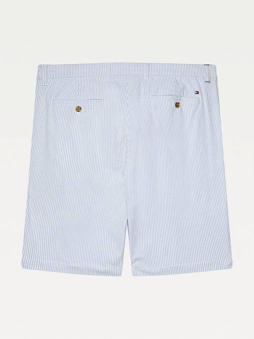 Blue Tommy Hilfiger Adaptive Ithaca Stripe Regular Fit Men's Shorts | TH076NMZ